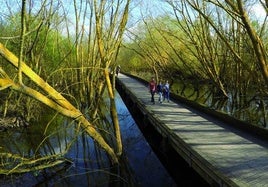 Álava… territorio del agua