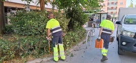 Dos jardineros municipales de Getxo cuidan una zona verde del centro de Las Arenas.