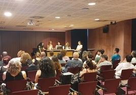 Actualmente, diez profesionales sostienen el servicio, pero aseguran que no es suficiente.