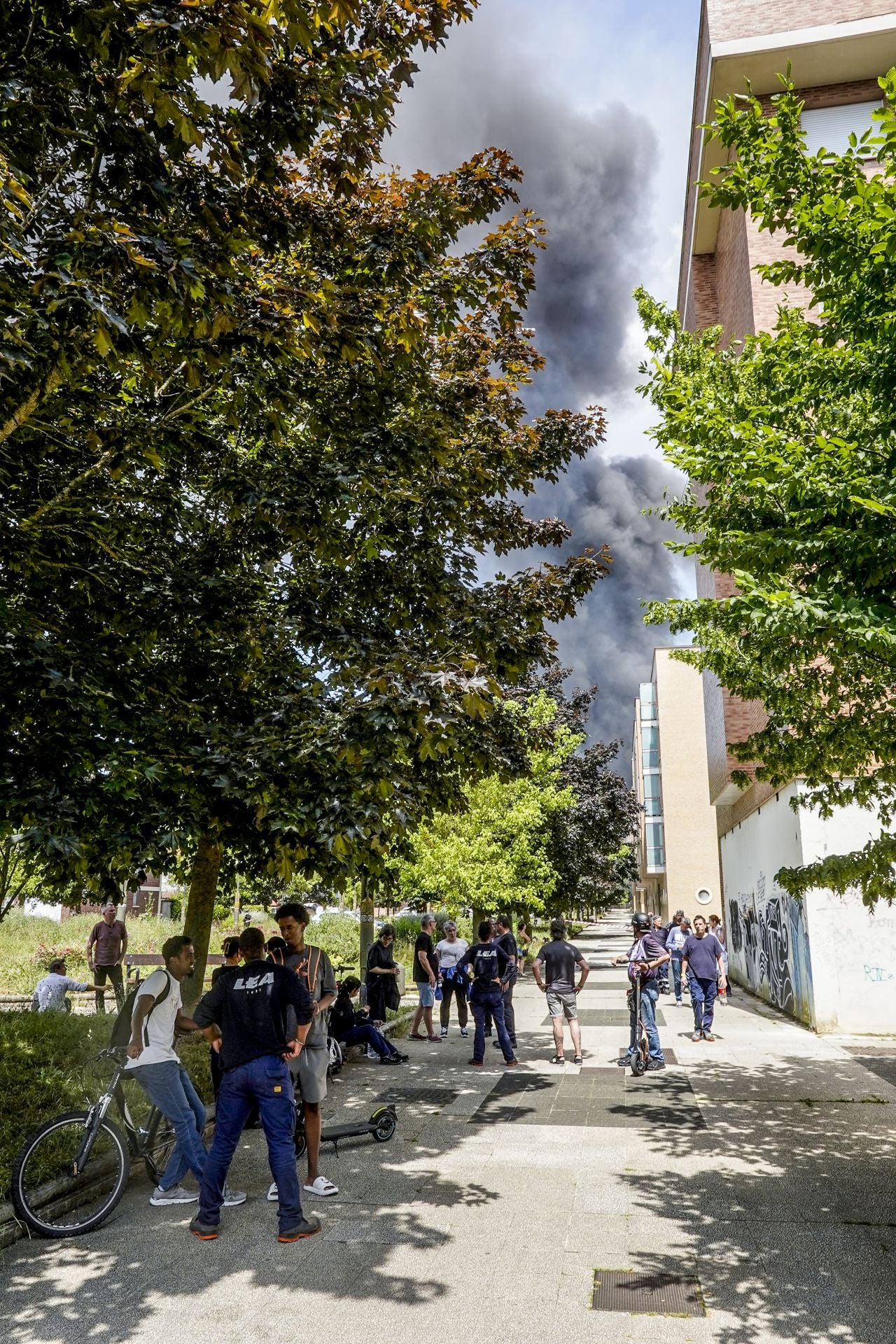 El gran incendio de LEA se ve desde todo Vitoria