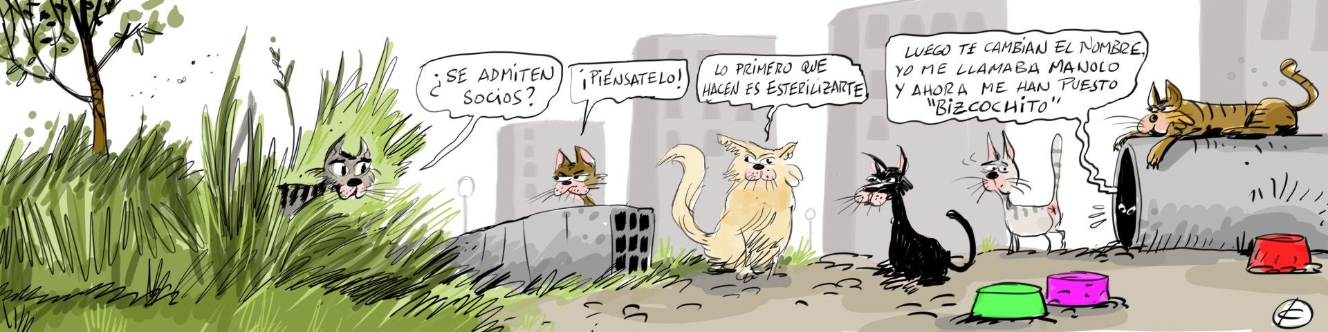 La viñeta de Cerrajería sobre las colonias felinas de Vitoria