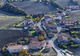 Vista panorámica de Manzanos.