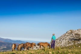En el corazón verde de Bizkaia: donde el viaje se transforma en legado