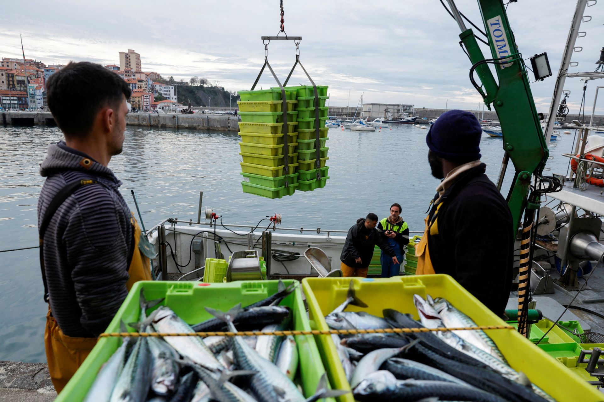 Las descargas de verdel en Bermeo han sido muy escasas esta temporada.