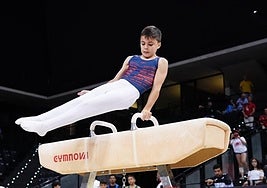 El Campeonato se celebrará este fin de semana en el Navarra Arena.