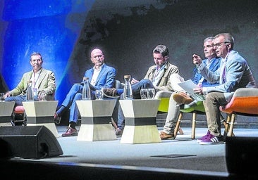 «Las empresas emergentes son apoyos necesarios, aportan agilidad e innovación»