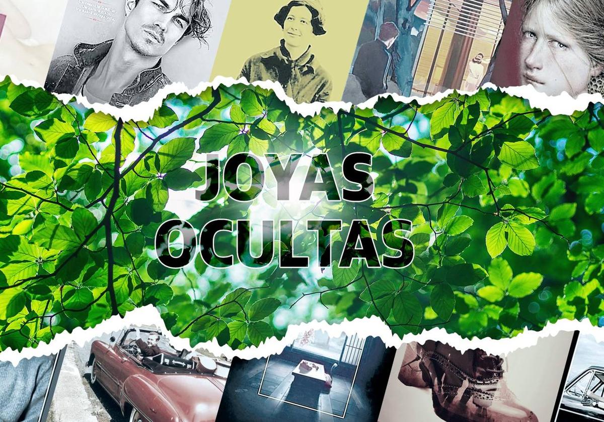 Las joyas ocultas de las librerías que te sorprenderán