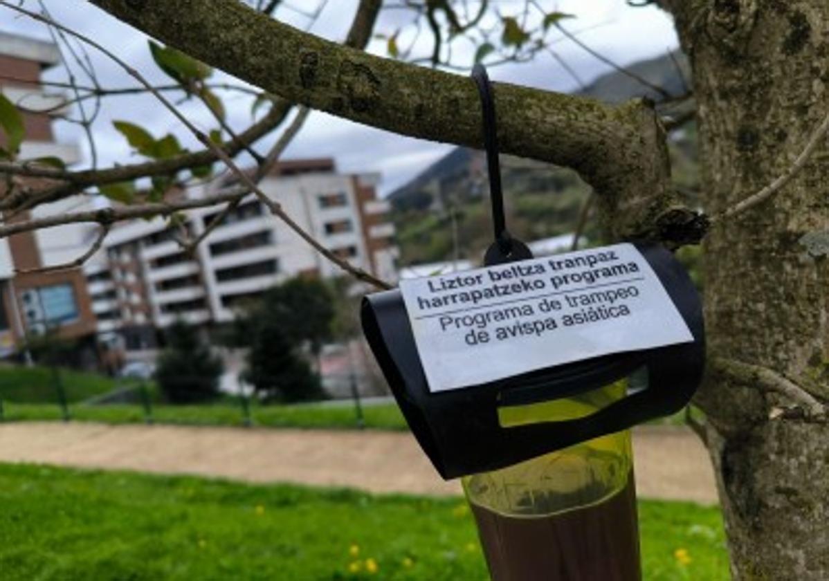 El Ayuntamiento califica de «muy exitosa» la campaña.
