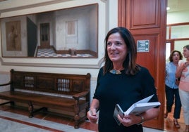 Artolazabal destaca una Vitoria «viva» con el Iradier Arena y la seguridad como retos