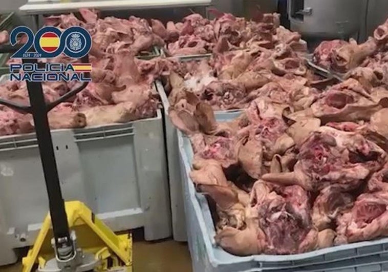 Contenedores con carne en descomposición incautados