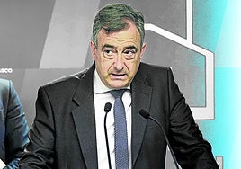 Aitor Esteban, en una comparecencia en el Parlamento vasco