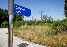 La capital alavesa está creciendo por el sur y es ahí donde el Consistorio ofrece suelo libre.