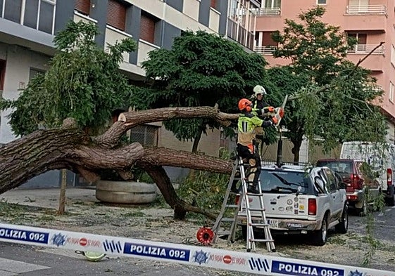 Los bomberos cortan las ramas para limpiar la zona.