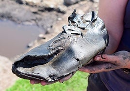 Un zapato de cuero completo, uno de los 32 que forman el conjunto descubierto.