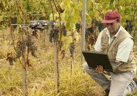 Un trabajador del campo maneja un dron.