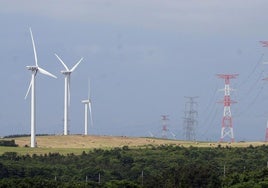 Las cooperativas construyen un mundo mejor