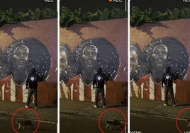 La intrahistoria del vídeo de renovación de Nico Williams