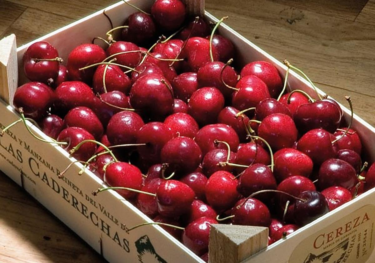 La Plaza Nueva de Bilbao se llenará con más de 3.500 kilos de cerezas este sábado