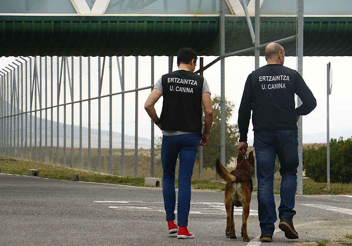 Ertzainas de la unidad canina se dirigen al interior de la prisión alavesa de Zaballa.