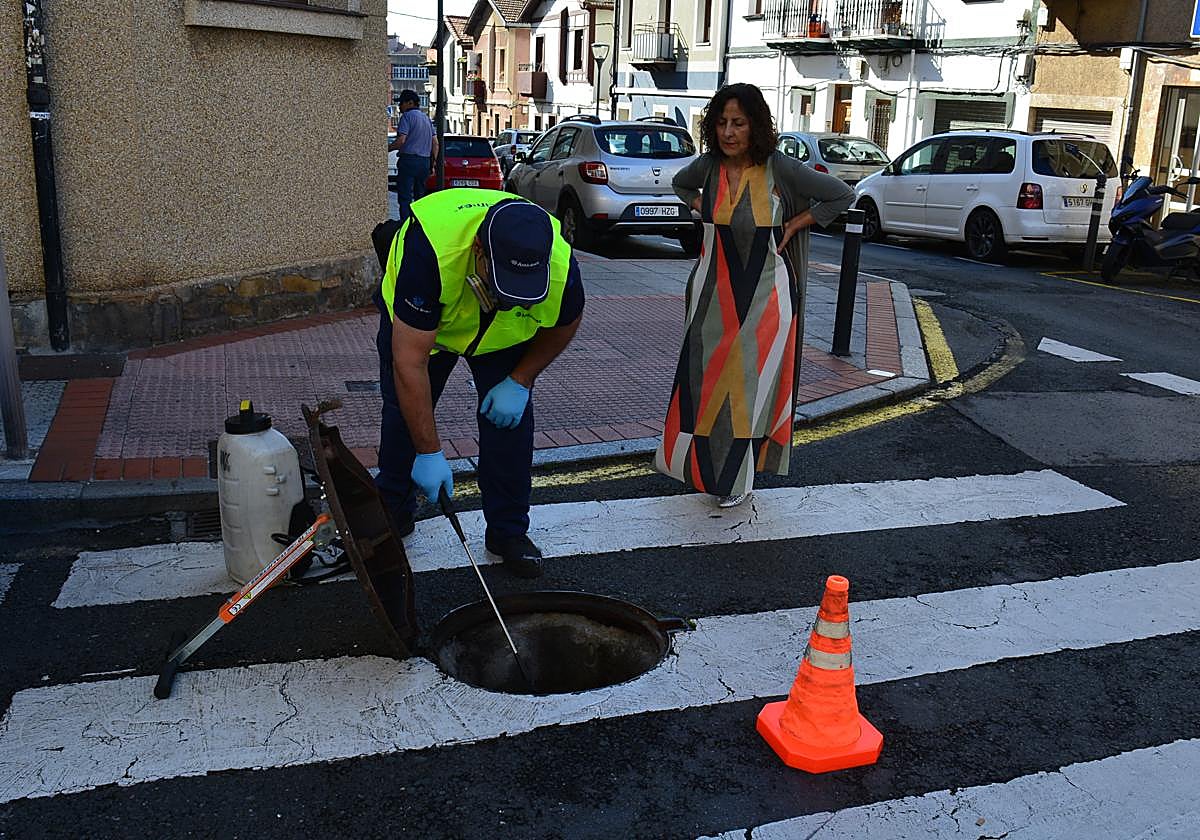 La concejala Rosa del Palacio supervisando una actuación.