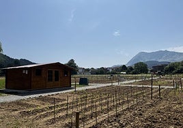 Se han adjudicado un total de 51 parcelas en los huertos públicos de Tornosolo