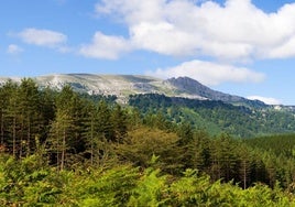 La Ertzaintza busca a un hombre de 86 años desaparecido desde ayer en el Gorbea