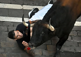 El corredor de Almassora mira fijamente la cara de 'Orrojado', con su mano cerca del hocico.