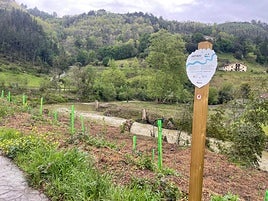 Los nuevos ejemplares mejorarán el entorno del Artibai en Berriatua.