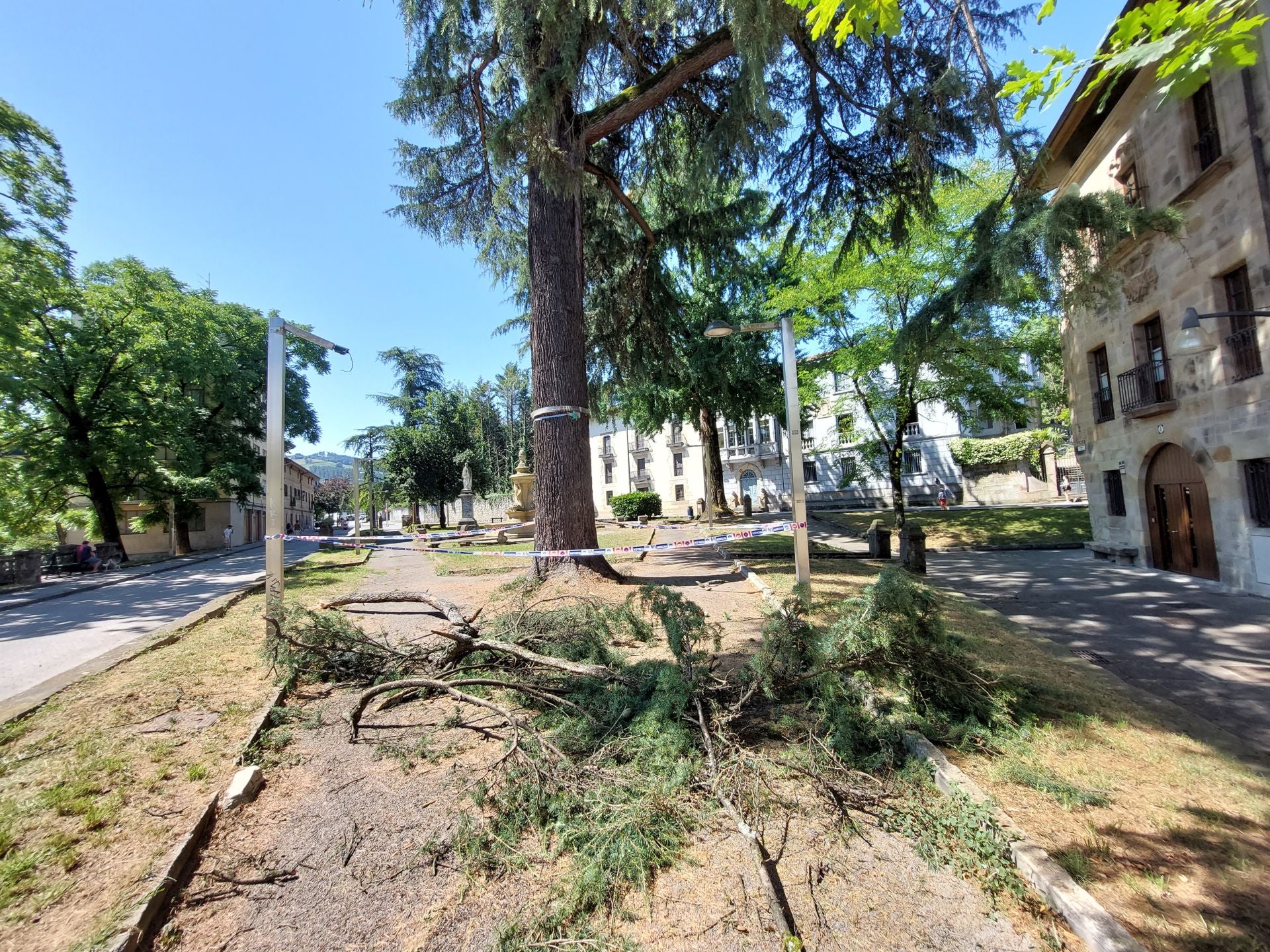 Imagen de la rama caída del árbol en el jardín de Pinondo.