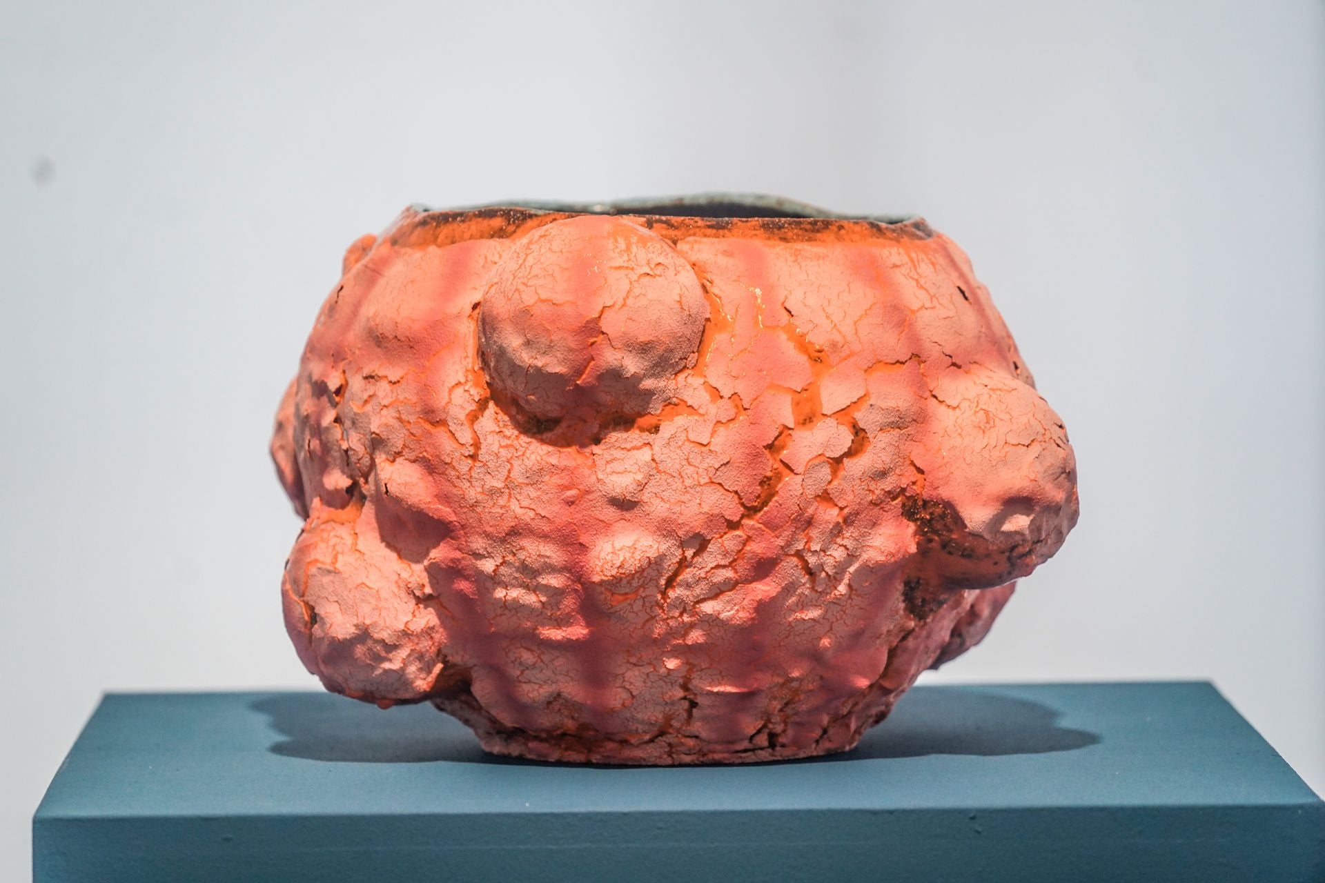 La artista vasca Mar de Dios expone &#039;Espejo de agua y flores&#039; en Vitoria