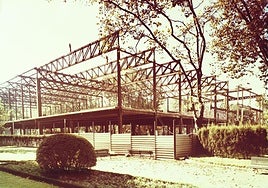 Construcción del edificio 'moderno' del Museo de Bellas Artes, inaugurado en 1970.