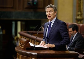 El presidente del PP, Alberto Núñez Feijóo.