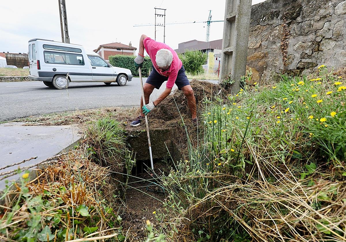 Trabajos en Rioja alavesa el día después de la tormenta.