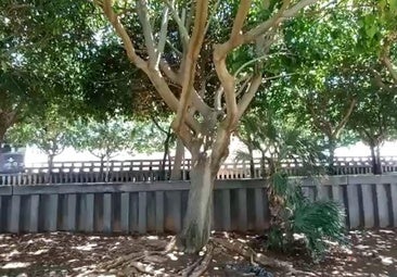 Una mujer en estado crítico al ser alcanzada por un rayo en Valencia