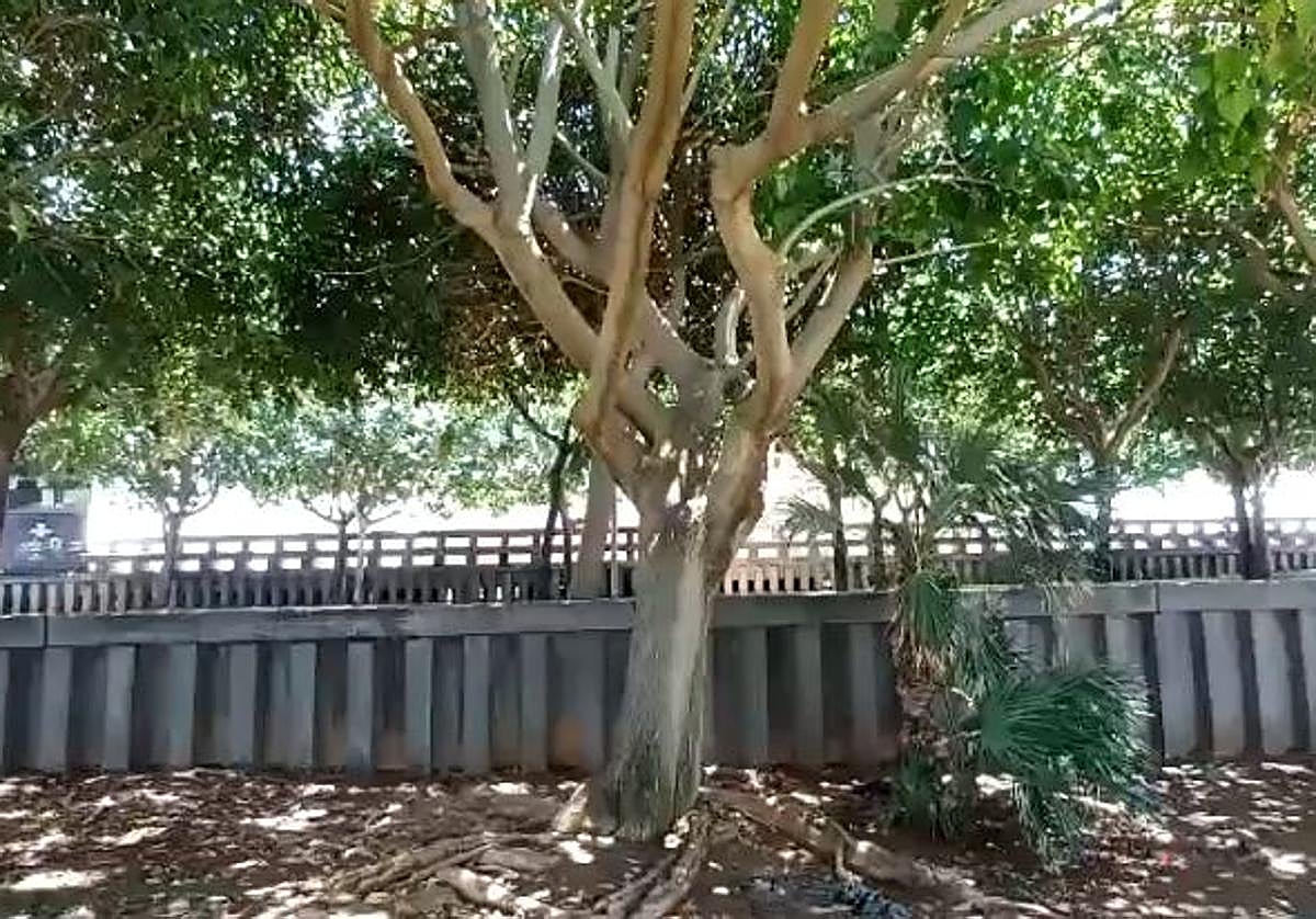 Zona en la que se produjo el incidente.