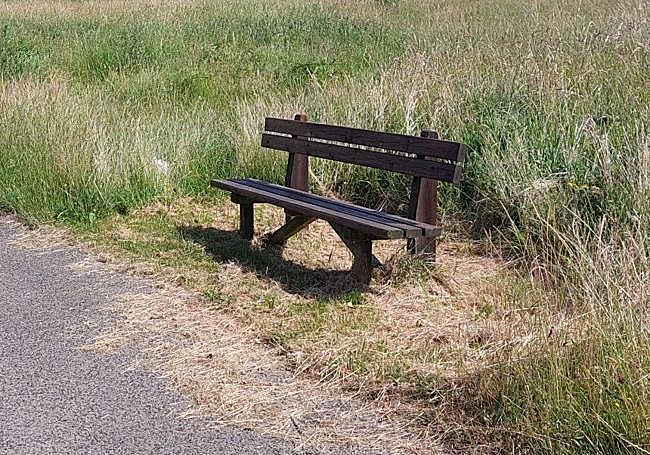 Los vecinos han tenido que desbrozar ellos mismos varias zonas, como la de los tendederos y los bancos, que estaban ocultos por la hierba.