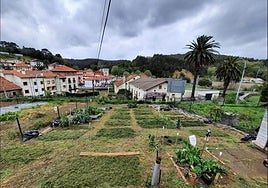 Zona en la que se habilitarán los huertos.