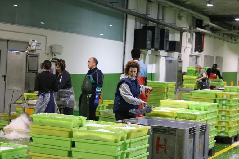 La lonja del puerto de Ondarroa recibe las principales descargas de pescado de Bizkaia.