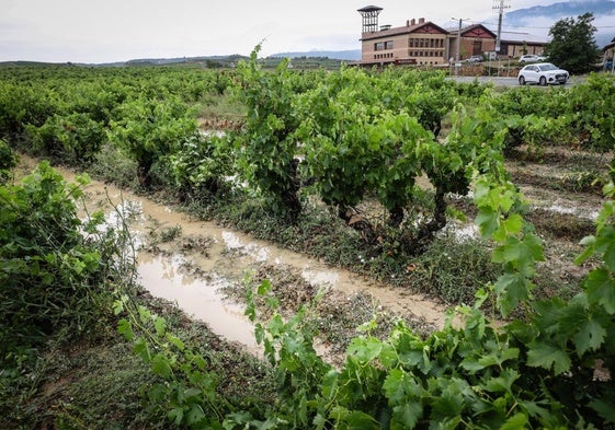 Municipios como Villabuena de Álava (en la imagen), Samaniego, Laguardia o Navaridas se llevaron lo peor del temporal con decenas de fincas anegadas.