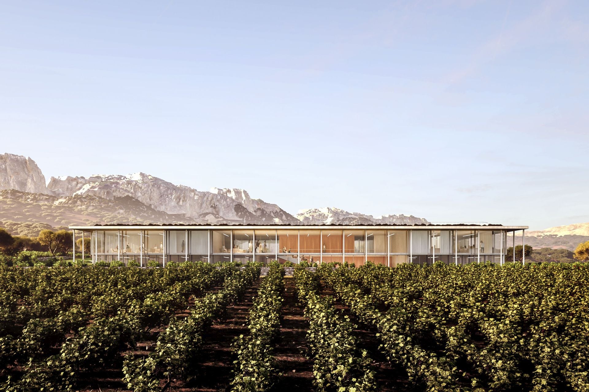 Sede de Laguardia. Exterior