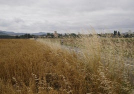 Álava se refuerza contra los incendios ante un verano con «mayor riesgo»