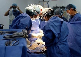 239 pacientes esperan un trasplante de riñón en Euskadi