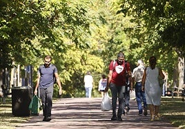 Varias personas transitan por una zona arbolada.