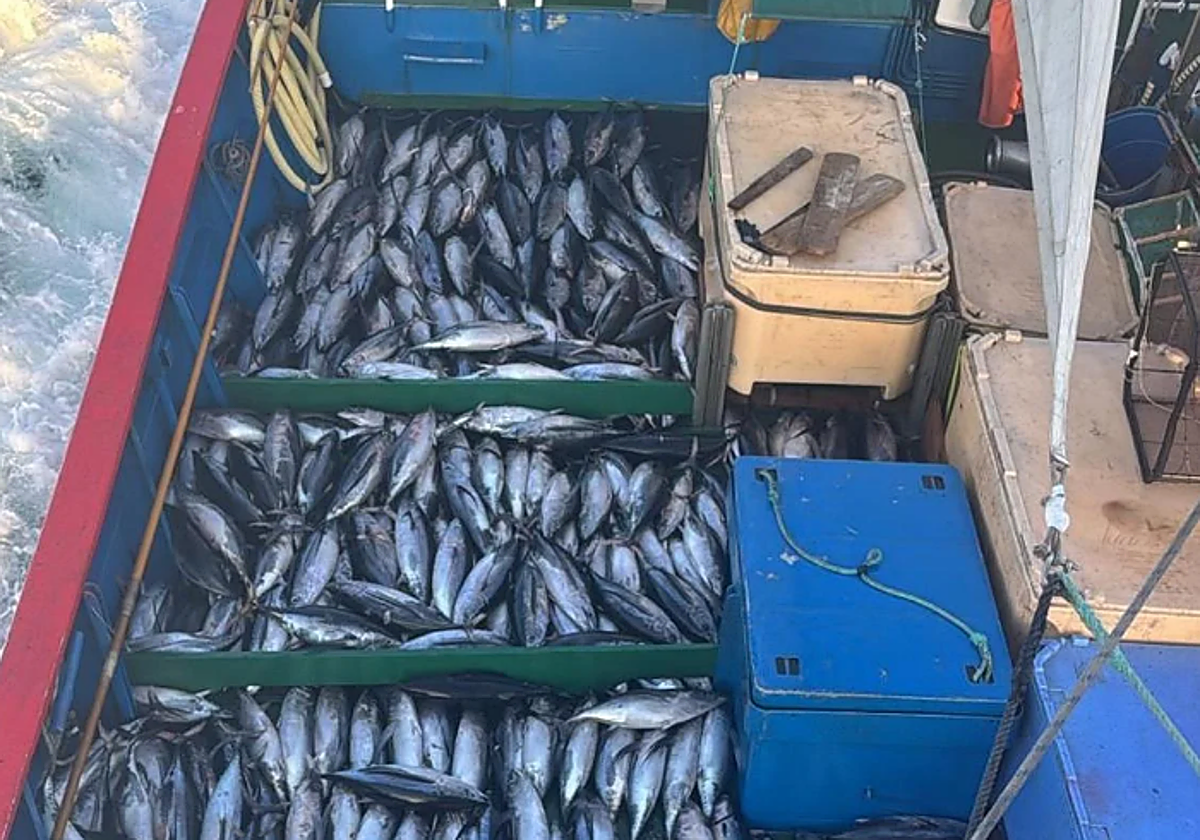 El Nuevo Libe bate el récord de descarga de bonito en Santoña con 78.000 kilos de una sola marea