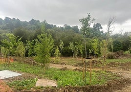 Zona junto al arroyo Itze donde ya han comenzado las obras del futuro paseo fluvial peatonal y ciclable.