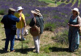 Los campos muestran ahora su mejor imagen, llenando de color la comarca.