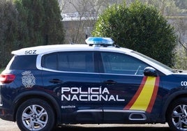 Un coche de la Policía Nacional de Langreo. E. C.