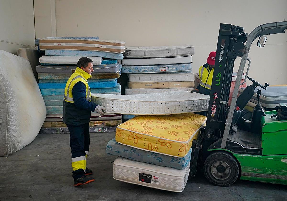 Planta de voluminosos del Ayuntamiento de Vitoria.