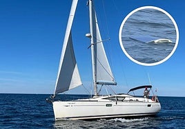 Iñaki, a bordo de su velero. En el círculo, detalle del timón destruido.