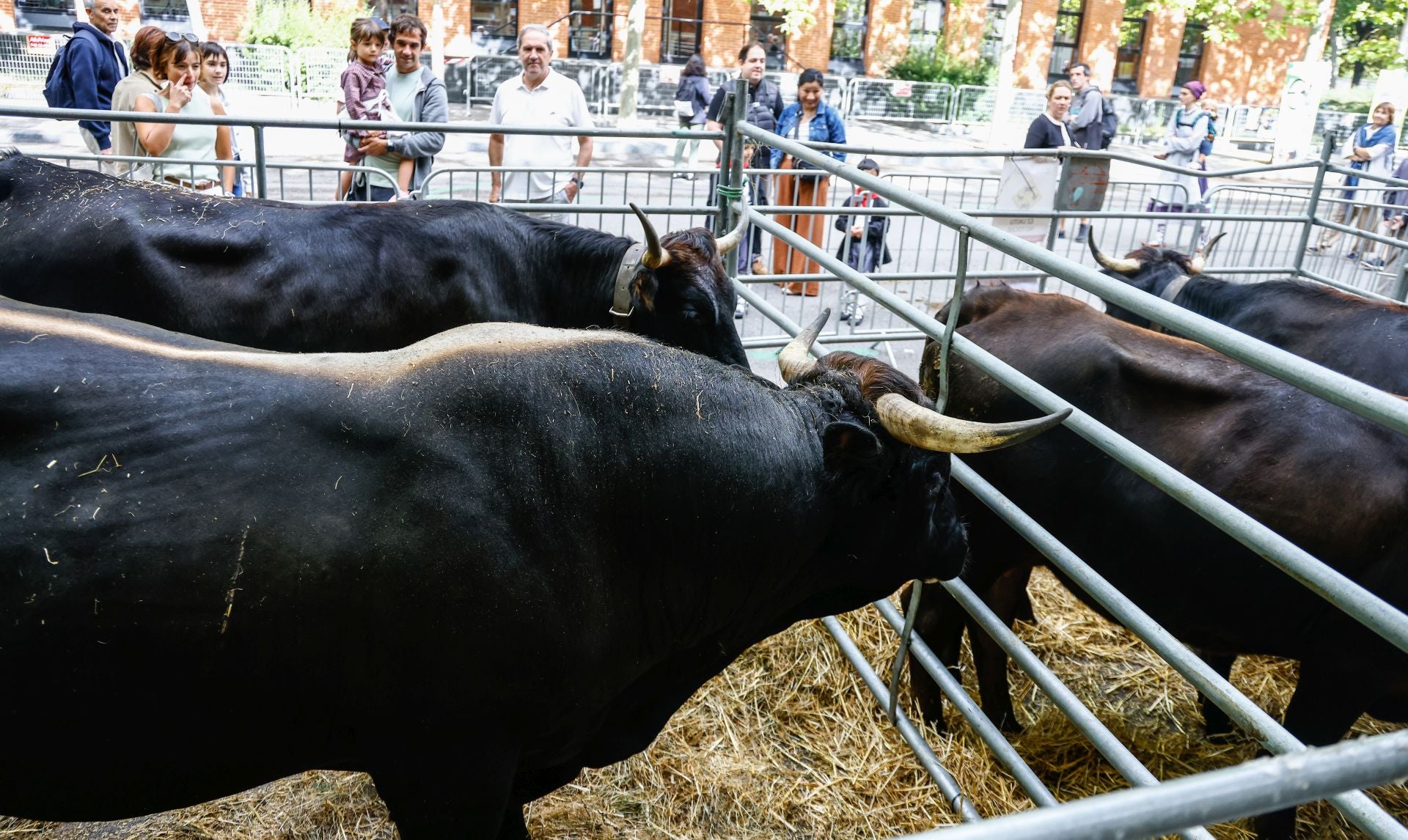 El Día del Blusa y la Neska, en imágenes